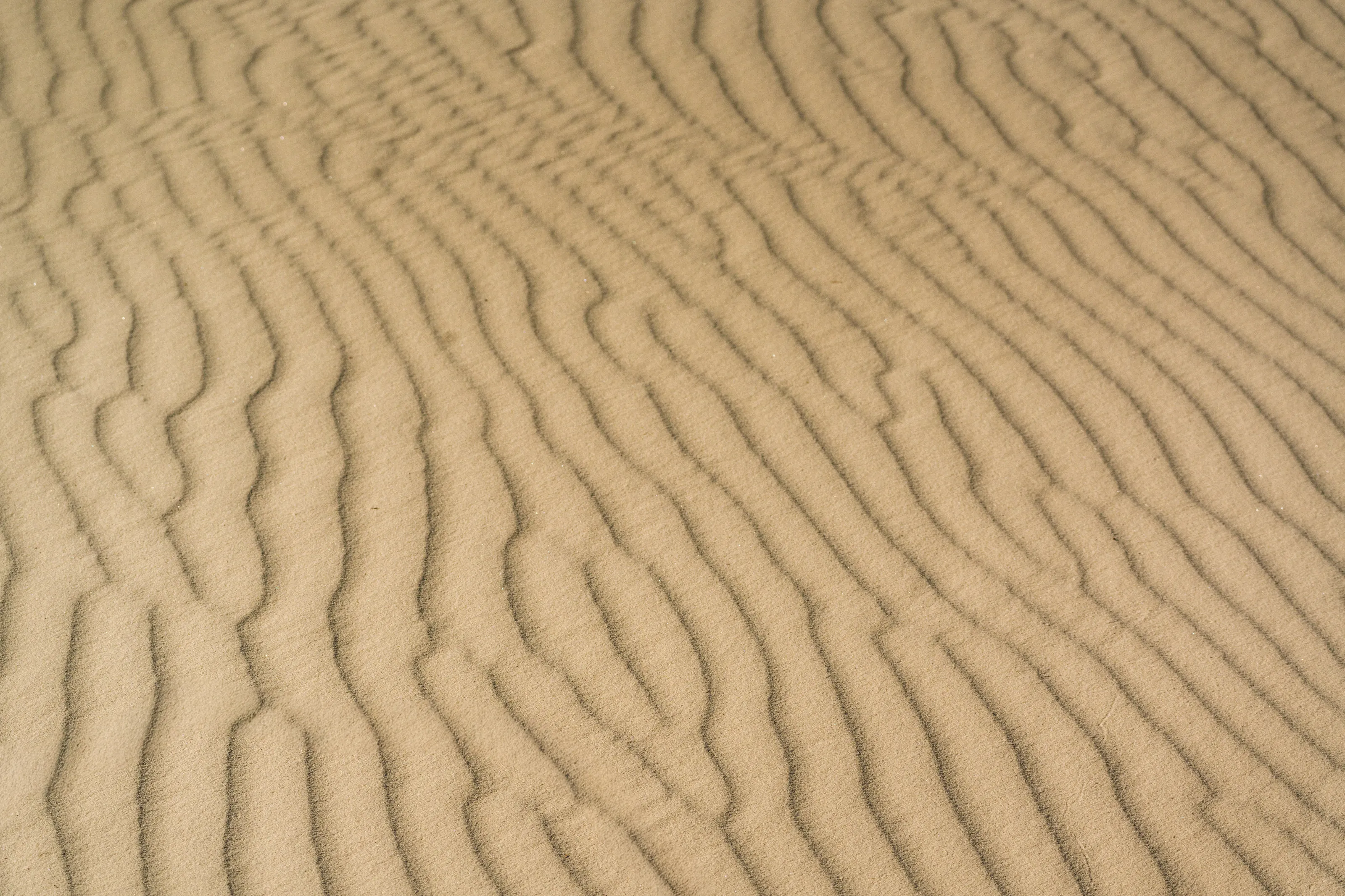 Wind ripples across pale sand, seen close with a long lens.