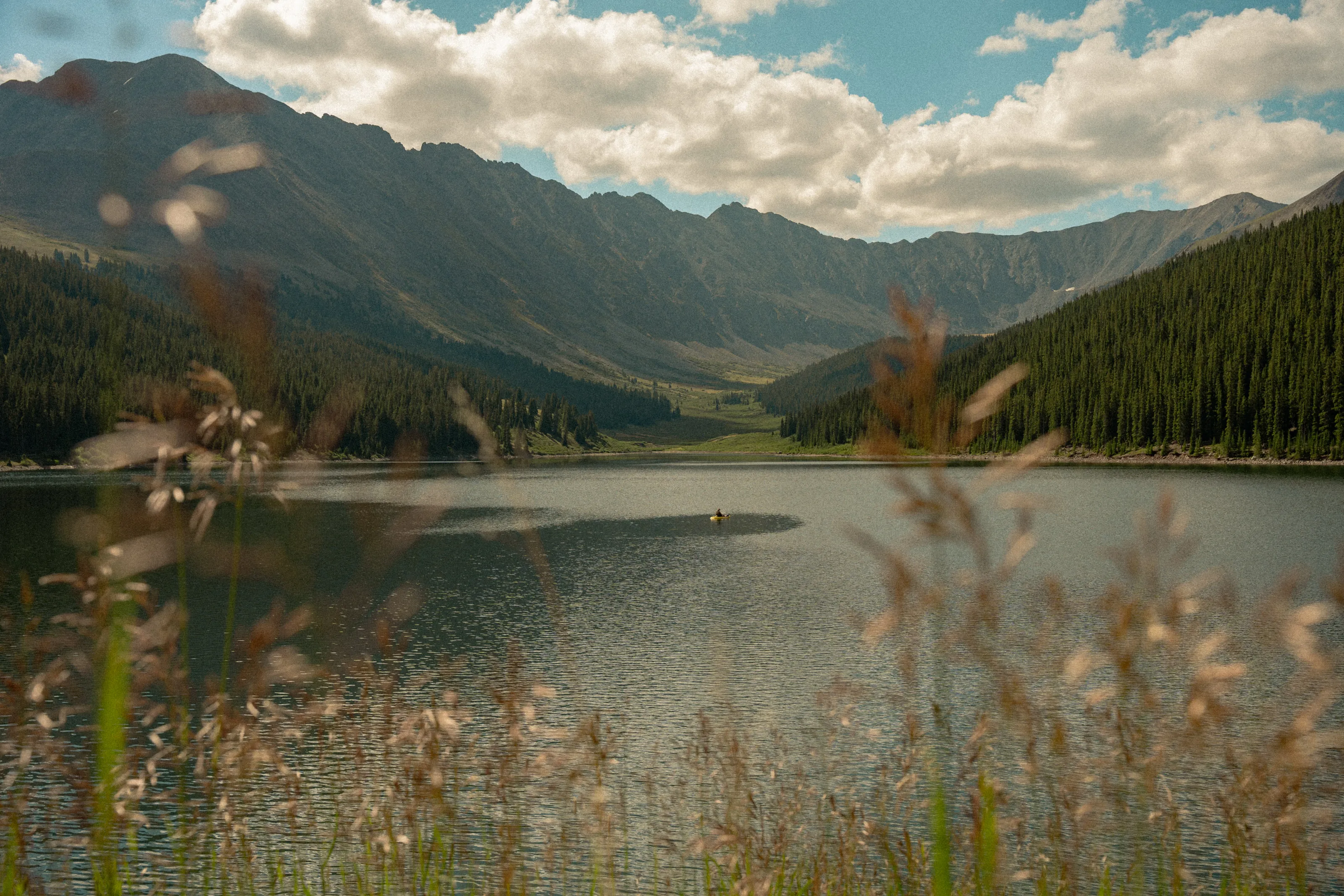 A mountain lake seen through tall grass, with forested slopes and clouds behind.